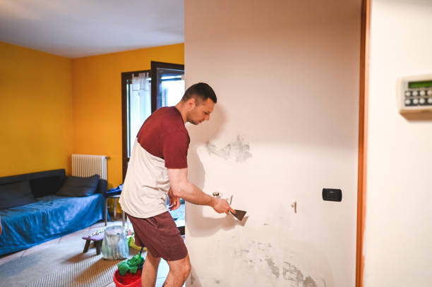 Best Commercial Mold Removal  in Mclendon Chisholm, TX